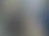 Уникальные виды