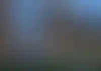 Двор-сад