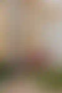 Все рядом