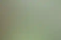 Фоновое изображение