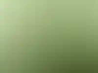 Фоновое изображение