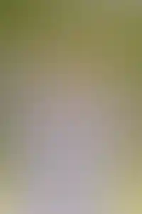 Фоновое изображение