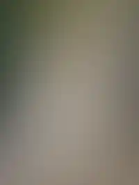 Фоновое изображение