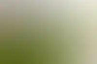 Фоновое изображение