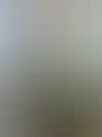 Фоновое изображение