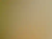 Фоновое изображение