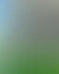 Фоновое изображение