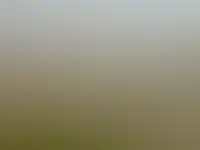 Фоновое изображение